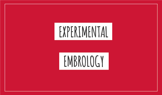 Experimental embryology