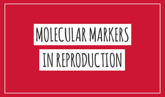 Molecular markers in reproduction