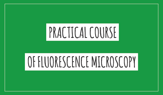 Practical course of fluorescence microscopy