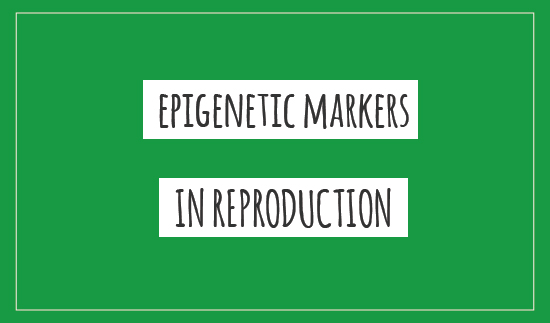 Epigenetic markers in reproduction