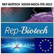 ITN - Rep-Biotech